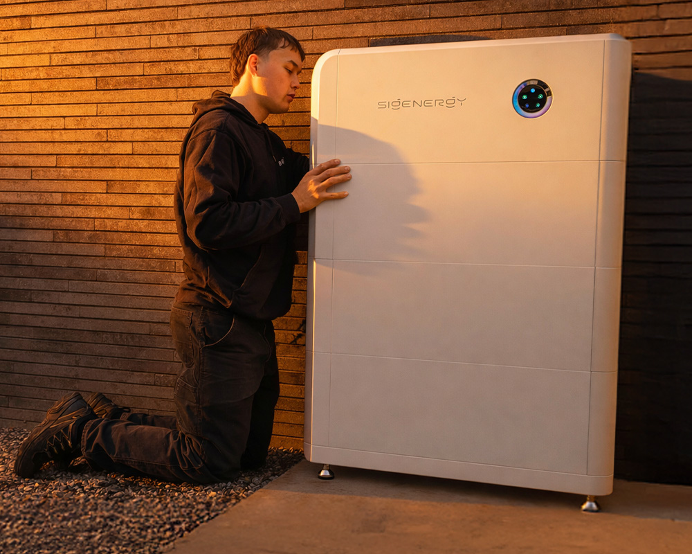 professionele-installatie-thuisbatterij